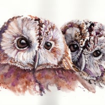My project in Artistic Watercolor Techniques for Illustrating Birds course. Traditional illustration, Fine Arts, Watercolor Painting, Realistic Drawing, and Naturalistic Illustration project by Lorna Garrison - 09.11.2021