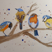My project for course: Artistic Watercolor Techniques for Illustrating Birds. Traditional illustration, Watercolor Painting, Realistic Drawing, and Naturalistic Illustration project by Kate P - 01.24.2024