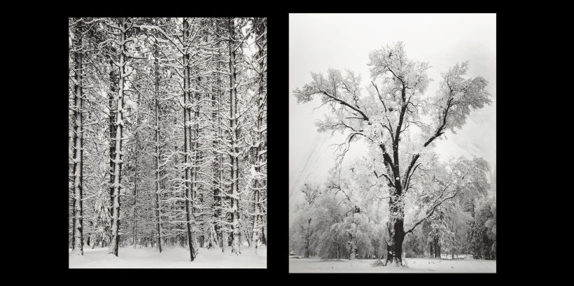 Original Photos by Ansel Adams